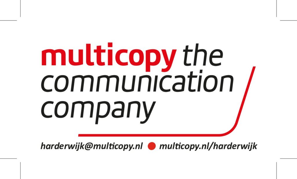Multicopy logo Aaltjesdag