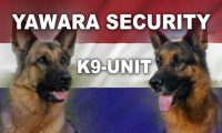 logo yawara