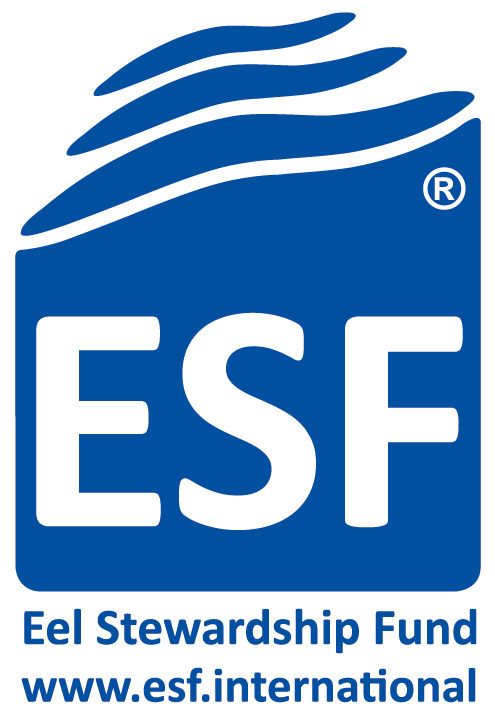 ESF FC1